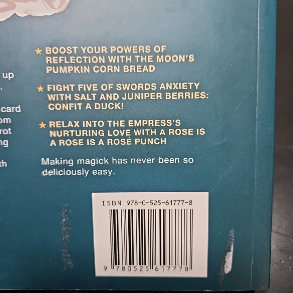 DIVINE YOUR DINNER A Cookbook for Using Tarot as Your Guide to Magical Meals NEW
